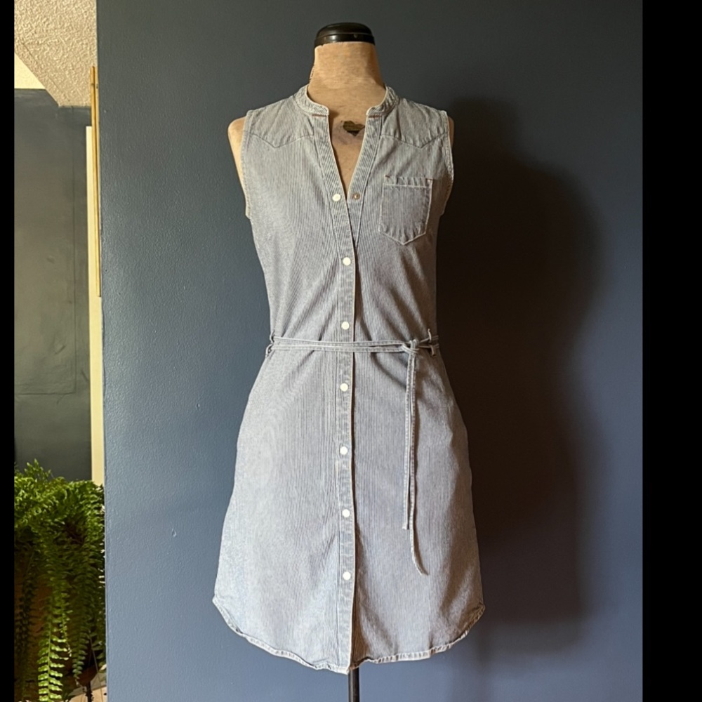Pinstripe Shirtdress by French Gap